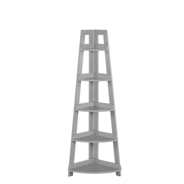 RiverRidge Home Amery 2-Tier Ladder Wall Shelf with Hooks - White