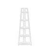 Amery 5-Tier Corner Ladder Shelf